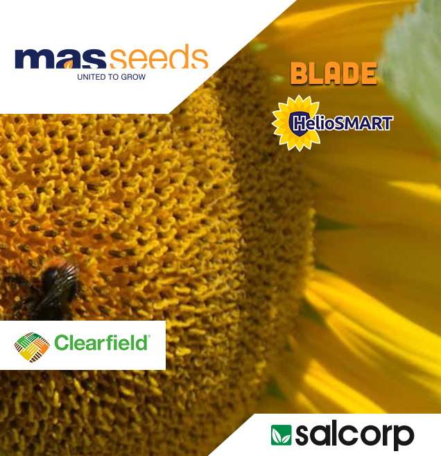 MAS 92.CP - Clearfield Plus